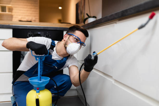 Best Mosquito Control Services  in Gloucester City, NJ