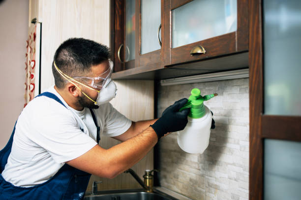 Pest Control Cost in Gloucester City, NJ