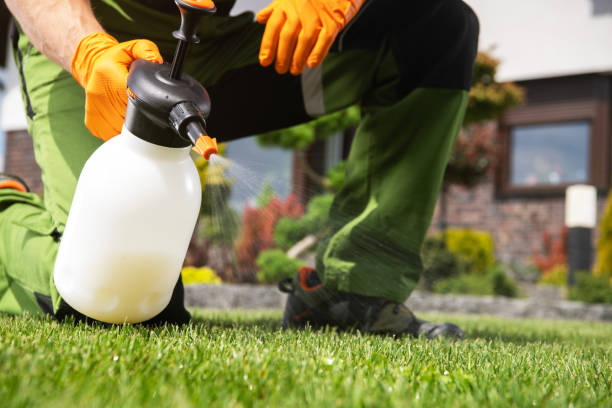 Best Flea Control Services  in Gloucester City, NJ