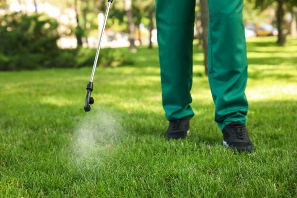 Best Wasp Removal Services  in Gloucester City, NJ