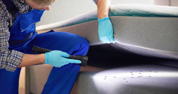 Pest Control for Restaurants in Gloucester City, NJ