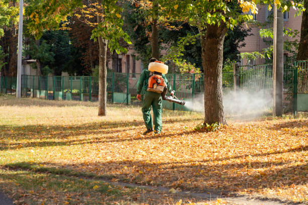 Bird Control in Gloucester City, NJ