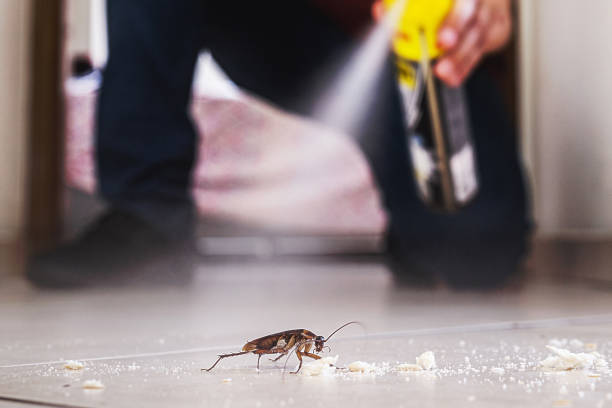 Best Cockroach Control Services  in Gloucester City, NJ