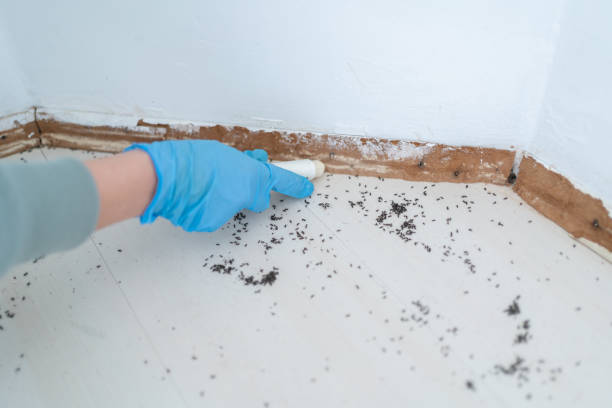 Best Residential Pest Control  in Gloucester City, NJ